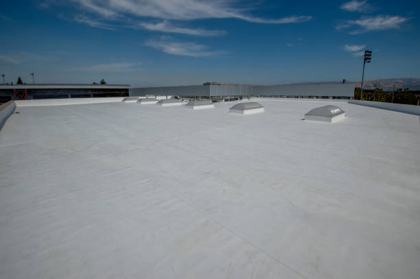 Best Rubber Roofing (EPDM, TPO)  in Blennerhassett, WV