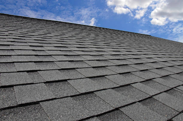 Best Storm Damage Roof Repair  in Blennerhassett, WV